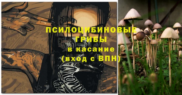 ешки Алексеевка