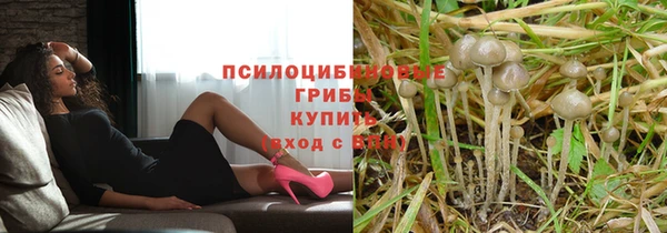 ешки Алексеевка