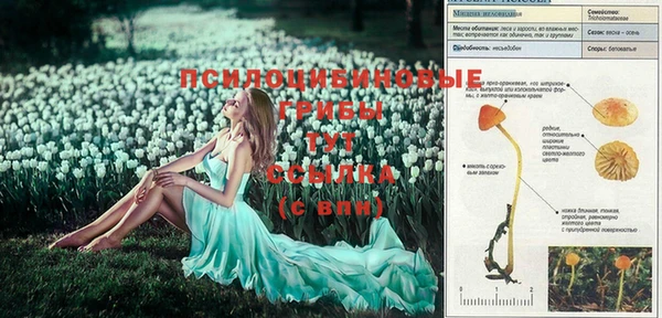 2c-b Абдулино
