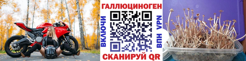 Галлюциногенные грибы Cubensis  Ишимбай 